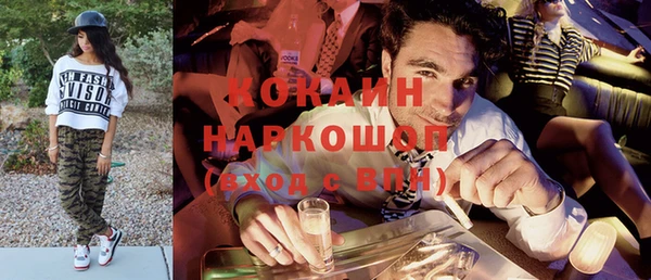 крисы Баксан