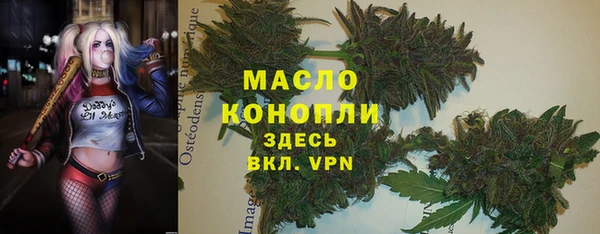 крисы Баксан