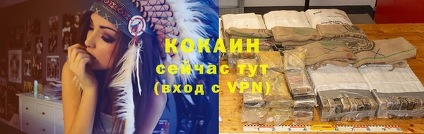 сатива Россошь